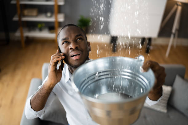 Best Water damage contractors near me  in Perry, GA