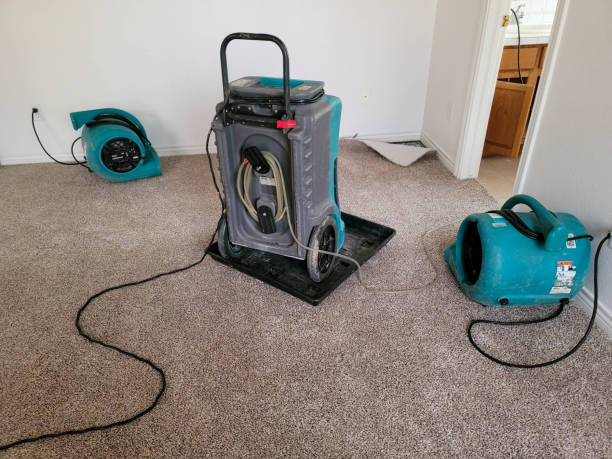 Best Basement water damage restoration  in Perry, GA