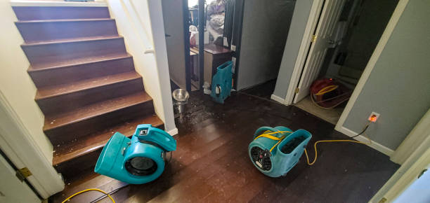 Best Flood damage cleanup  in Perry, GA