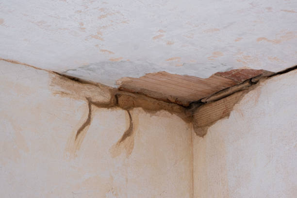 Best Water damage restoration near me  in Perry, GA