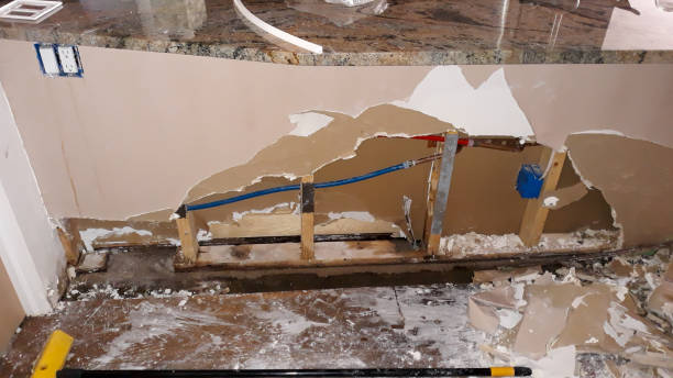 Best Ceiling water damage repair  in Perry, GA