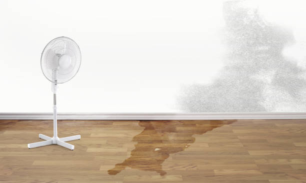 Best 24-hour water damage restoration  in Perry, GA
