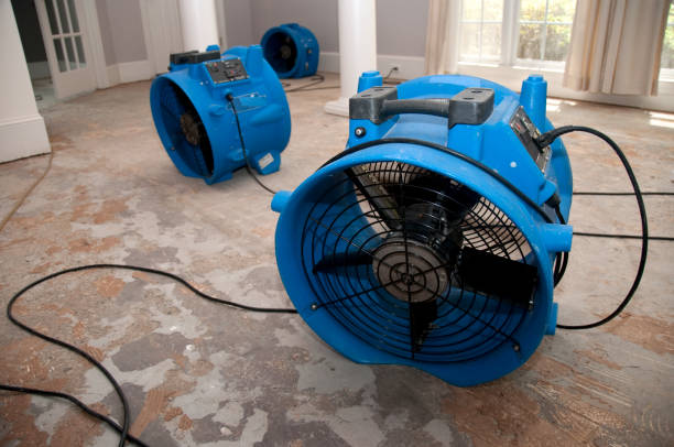 Best 24/7 water damage repair  in Perry, GA