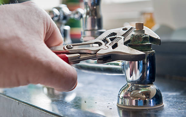 Best Professional water damage repair  in Perry, GA