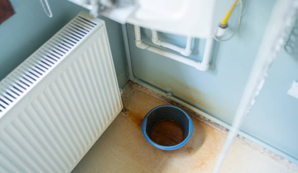Best Water damage mitigation services  in Perry, GA