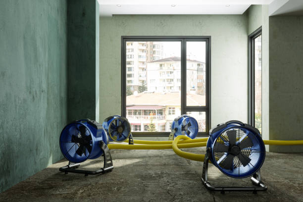 Best Mold removal after water damage  in Perry, GA